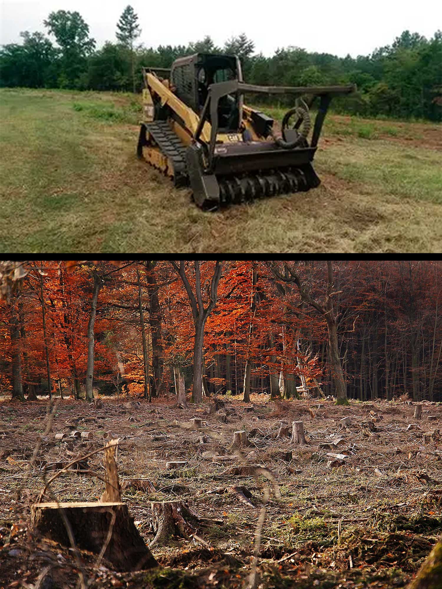 Land clearing